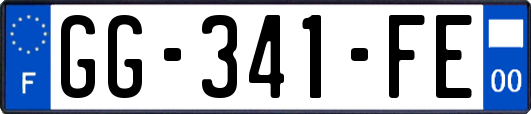 GG-341-FE