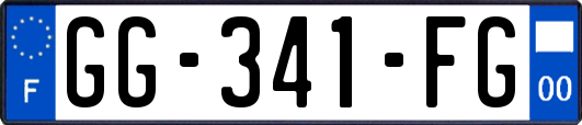 GG-341-FG