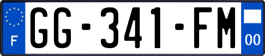 GG-341-FM
