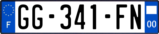 GG-341-FN