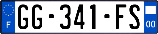 GG-341-FS