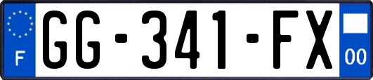GG-341-FX