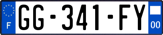 GG-341-FY