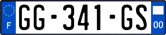 GG-341-GS