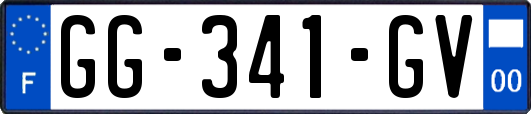 GG-341-GV