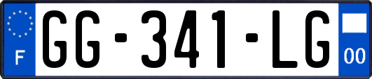GG-341-LG
