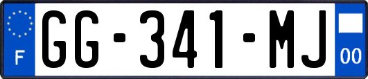 GG-341-MJ