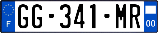 GG-341-MR