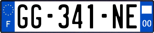 GG-341-NE