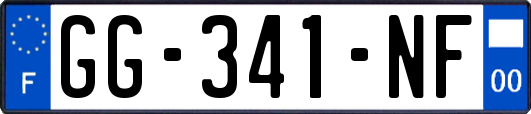 GG-341-NF