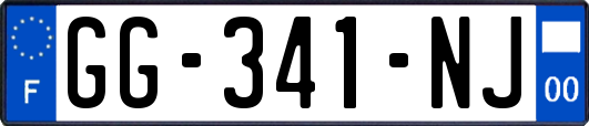 GG-341-NJ