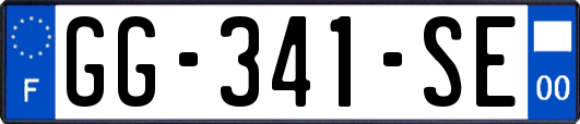 GG-341-SE