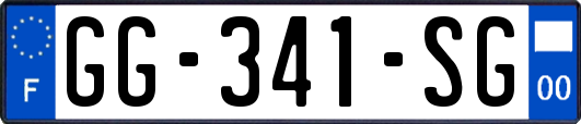 GG-341-SG