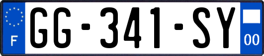 GG-341-SY