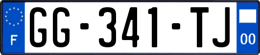 GG-341-TJ