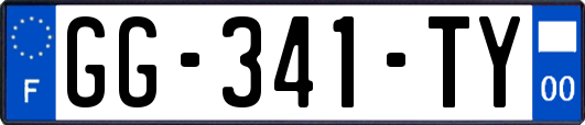 GG-341-TY