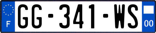 GG-341-WS