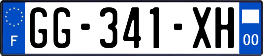 GG-341-XH