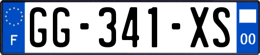 GG-341-XS