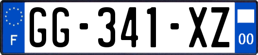 GG-341-XZ