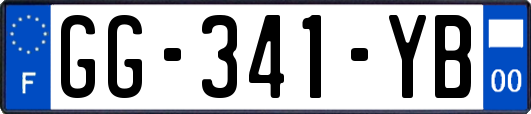 GG-341-YB