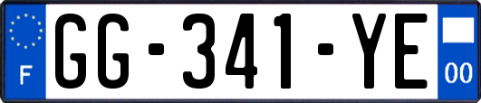GG-341-YE