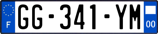 GG-341-YM
