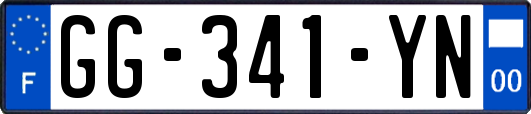 GG-341-YN