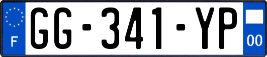 GG-341-YP