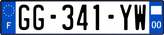GG-341-YW