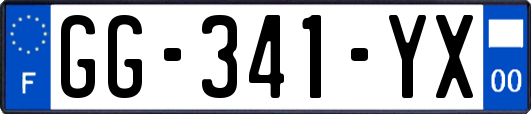 GG-341-YX