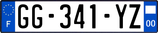 GG-341-YZ