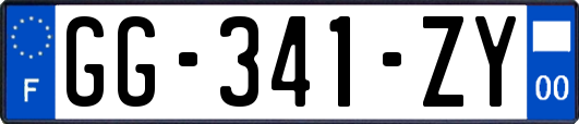 GG-341-ZY