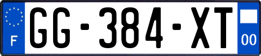 GG-384-XT