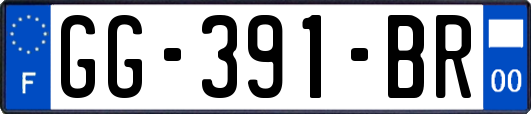 GG-391-BR