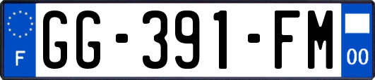 GG-391-FM
