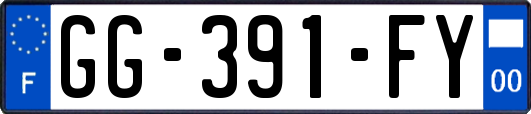 GG-391-FY