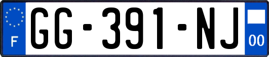 GG-391-NJ