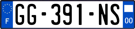 GG-391-NS