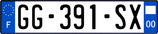 GG-391-SX