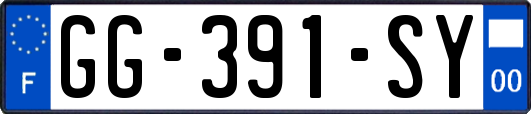 GG-391-SY