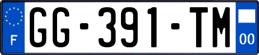 GG-391-TM