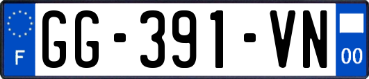GG-391-VN