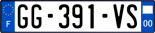 GG-391-VS