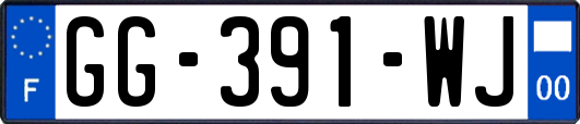 GG-391-WJ
