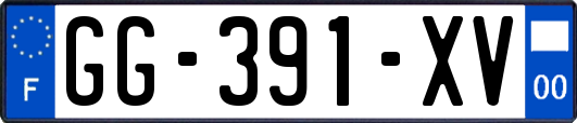 GG-391-XV