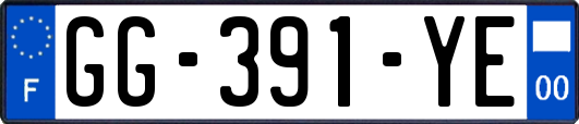GG-391-YE