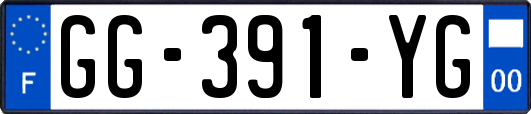 GG-391-YG