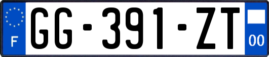 GG-391-ZT