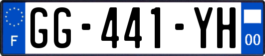 GG-441-YH